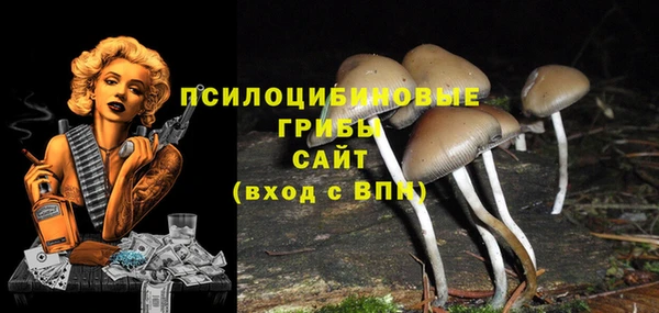 mix Армянск